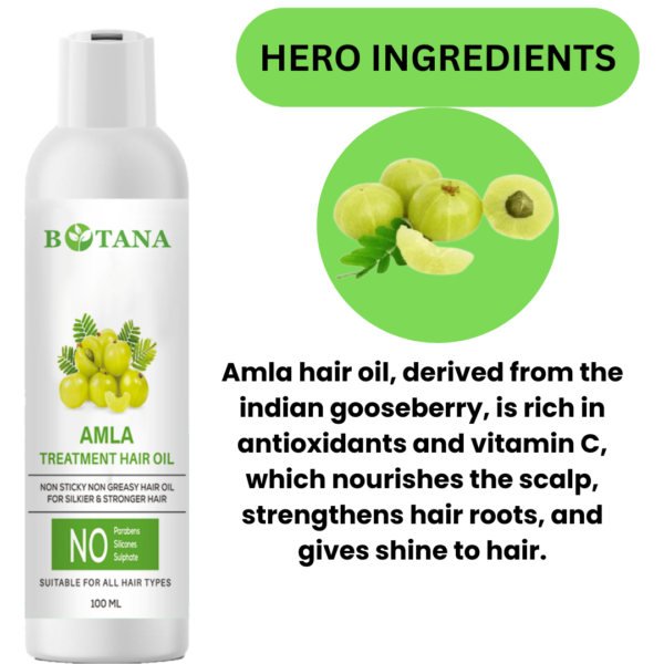 Amla Oil 100ml - Image 2